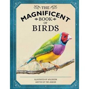 The Magnificent Book of Birds -- Weldon Owen